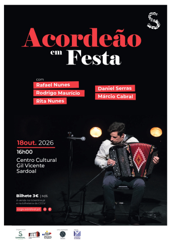 Acordeão em Festa